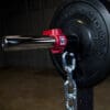 Body Solid Tools Weight Lifting Chains - Image 5